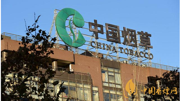 香煙漲價最新消息2020：香煙漲價真的能控?zé)焼?>
                                    <span>香煙漲價最新消息2020：香煙漲價真的能控?zé)焼?/span>
                                    <p>現(xiàn)在我國煙民的基數(shù)在不斷增大，而且有越來越多的青少年加入吸煙</p>
                                </a>
                            </li>
                                                                                </ul>
                    </div>

                </div>
            </div>
        </div>
    </div>

    
<link rel=