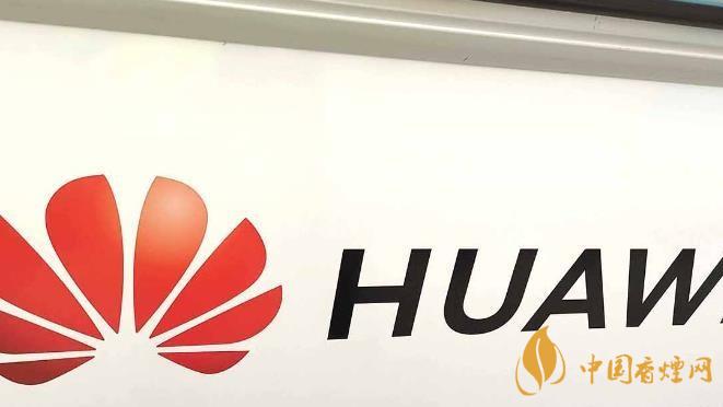 華為手機開發(fā)者模式有什么用？-怎么打開？