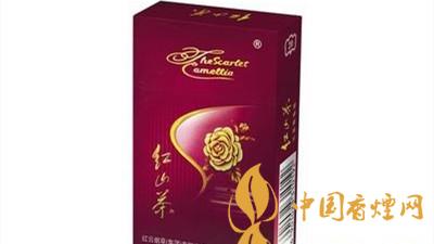 紅山茶紫市值多少錢？紅山茶紫口味如何？