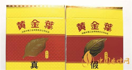 如何辨別黃金葉金滿堂真假？2020黃金葉真假辨別詳情對(duì)比