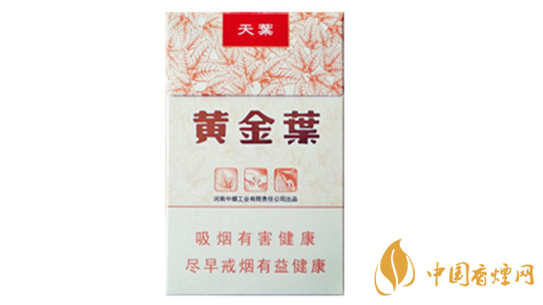 黃金葉天葉真?zhèn)卧趺幢鎰e？天葉真假如何看？