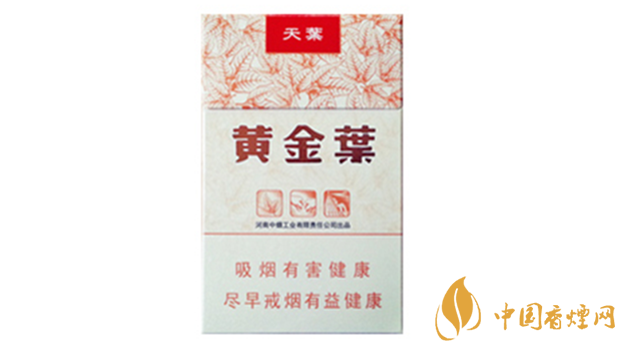 黃金葉天葉真假怎樣區(qū)分？黃金葉天葉真假識(shí)別