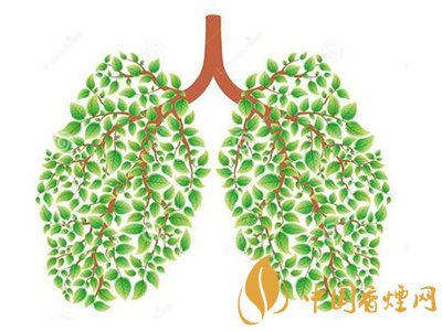 相比癌癥慢阻肺疾病離吸煙者更近！