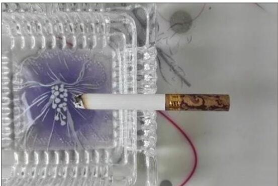 黃鶴樓漫天游，除了短貴沒別的毛病