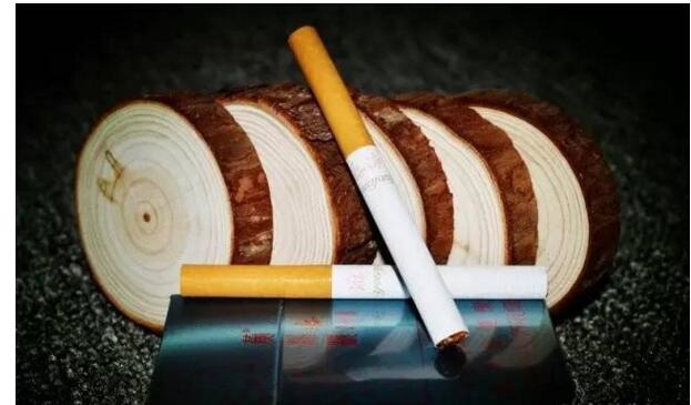 黃鶴樓游泳回歸，爺爺輩最喜愛的香煙品牌
