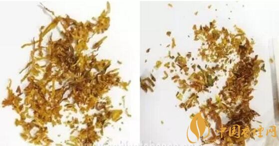 冬蟲夏草（和潤）真假鑒別，春節(jié)防止被騙